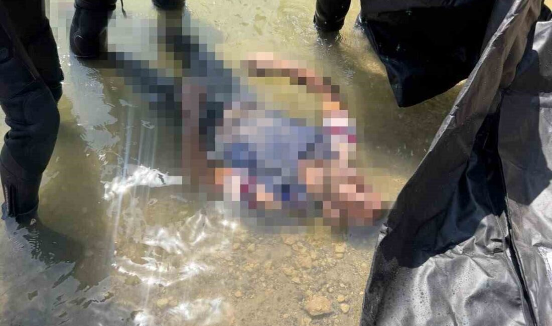 Siirt’te Botan Çayı’nda kaybolan 12 yaşındaki Faruk Santur’un cansız bedenine