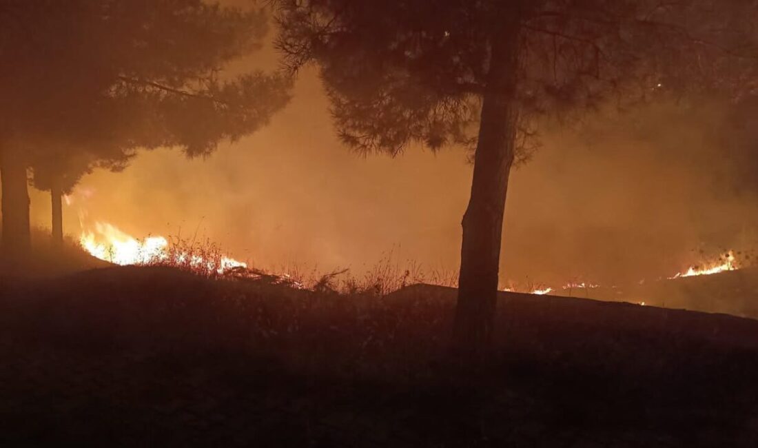Kurtalan ilçesindeki mezarlık alanında çıkan yangın, itfaiye ekipleri tarafından kontrol