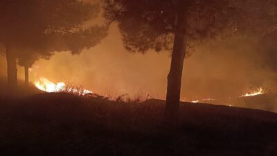 Kurtalan ilçesindeki mezarlık alanında çıkan yangın, itfaiye ekipleri tarafından kontrol