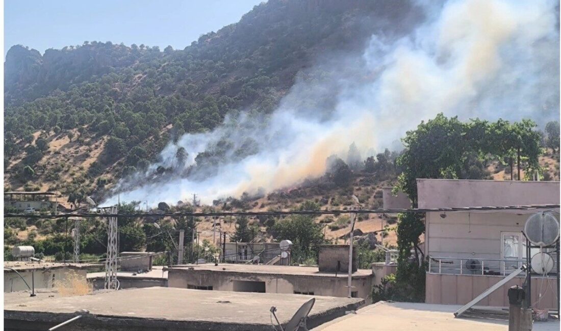 Baykan ilçesindeki orman yangını kontrol altına alındı. Yangın, Cefan Mahallesi’nde