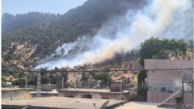 Baykan ilçesindeki orman yangını kontrol altına alındı. Yangın, Cefan Mahallesi’nde