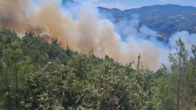 Balıkesir’in Sındırgı ilçesinde bir süt kamyonundaki yangının ormana sıçraması sonucu