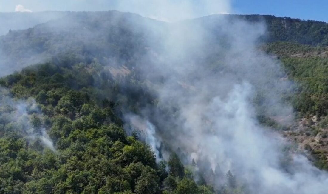 Sinop’un Gerze ve Boyabat ilçelerini birbirine bağlayan kara yolunda, Derecuma