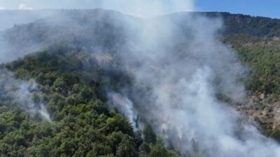 Sinop’un Gerze ve Boyabat ilçelerini birbirine bağlayan kara yolunda, Derecuma