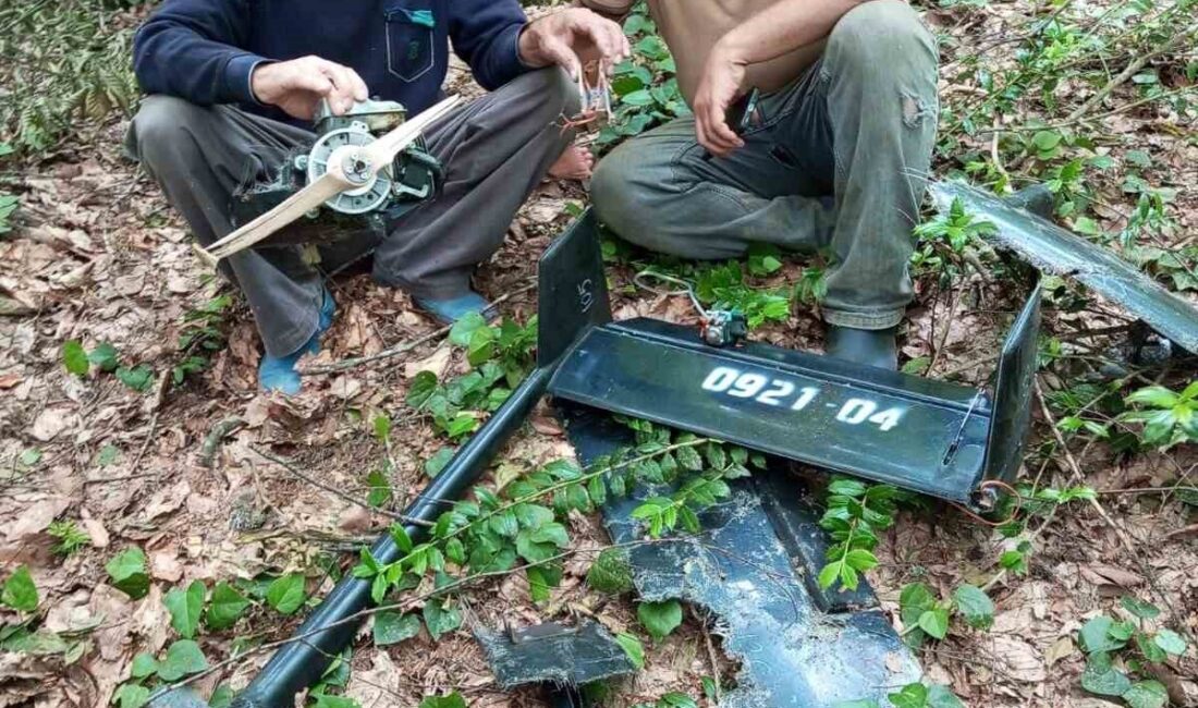 Ayancık ilçesine bağlı Bakırlı köyü Sekecek Mahallesi’nde ormanlık alanda mantar