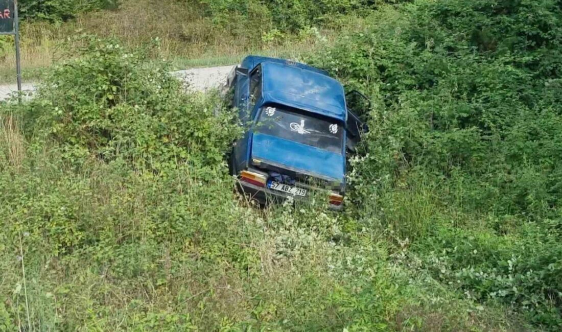 Sinop’ta Otomobil Şarampole Devrildi, 2 Kişi Yaralandı Sinop-Erfelek yolunda meydana