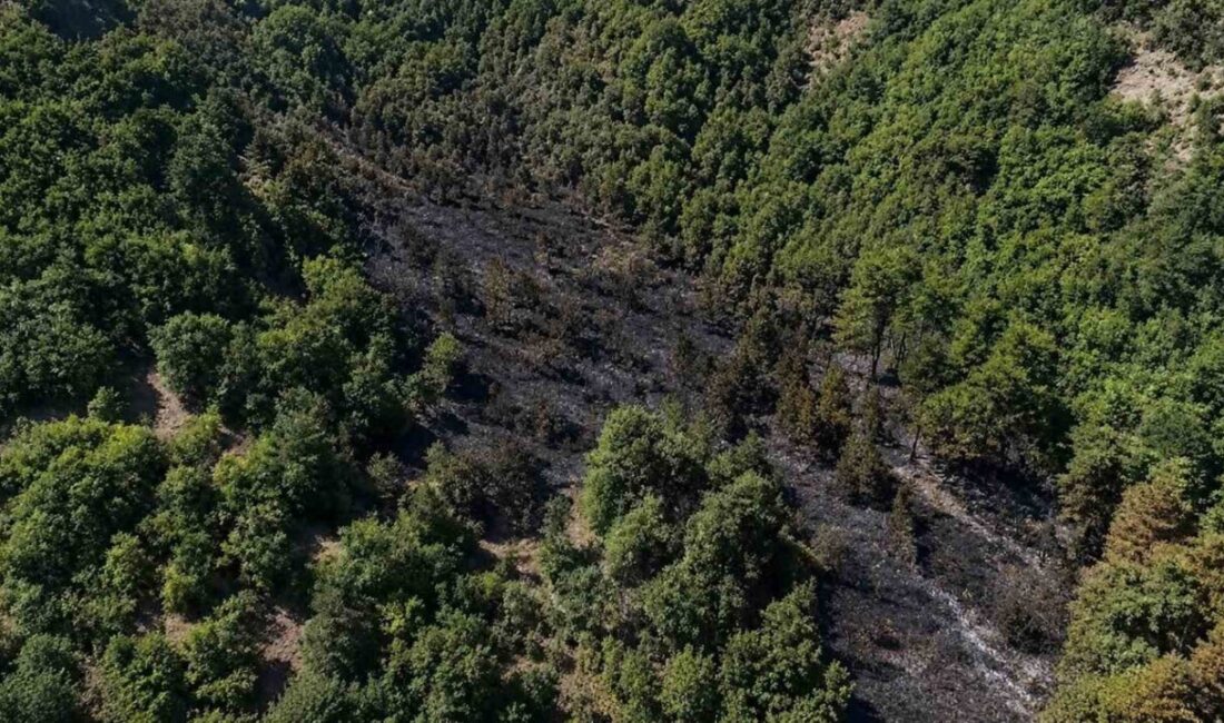 Sinop’un Gerze ile Boyabat ilçelerini birbirine bağlayan kara yolu üzerinde,