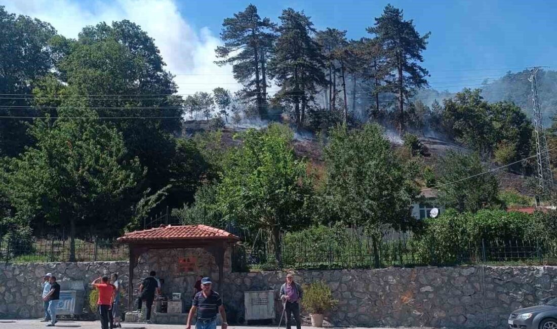 Sinop’un Gerze-Boyabat kara yolu üzerinde bulunan Derecuma Camii mevkiinde meydana