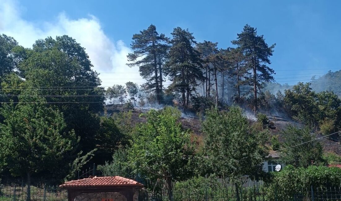 Sinop’ta meydana gelen orman yangınıyla ilgili bir kişi tutuklandı. Olay,