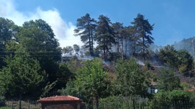 Sinop’ta meydana gelen orman yangınıyla ilgili bir kişi tutuklandı. Olay,