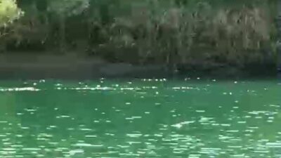 Şırnak’ın Güçlükonak yolu üzerinde Elo Dino Kasrı yakınlarında piknik yapan