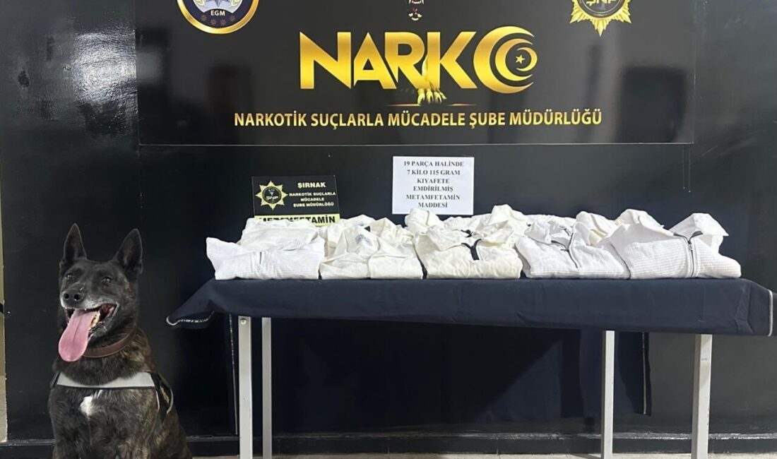Şırnak’ta güvenlik güçleri tarafından gerçekleştirilen asayiş, narkotik ve kaçakçılık operasyonlarında