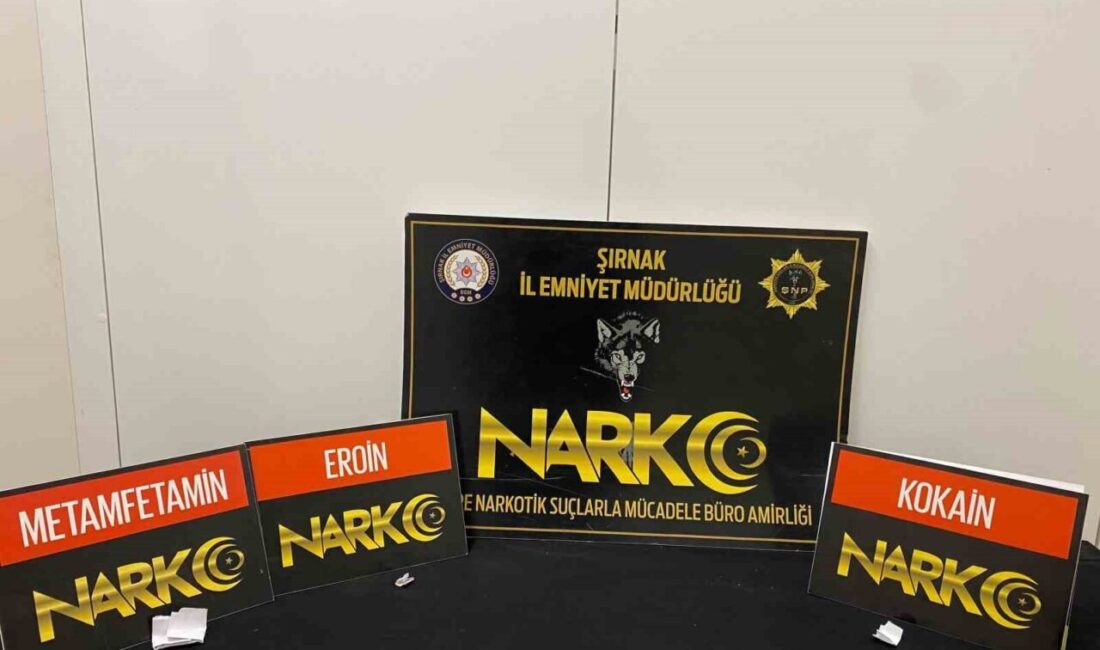 Şırnak’ta, gümrük kaçağı malzemelerin ele geçirildiği asayiş, narkotik ve kaçakçılık