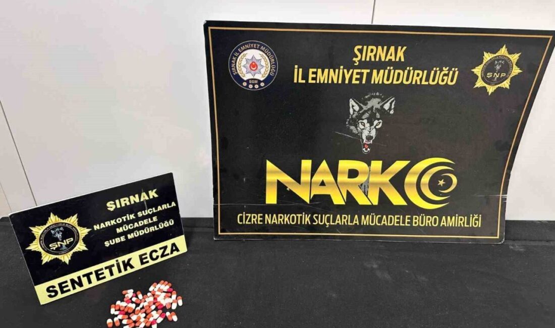 Şırnak’ta emniyet birimlerinin düzenlediği operasyonlarda, piyasa değeri 2 milyon 500