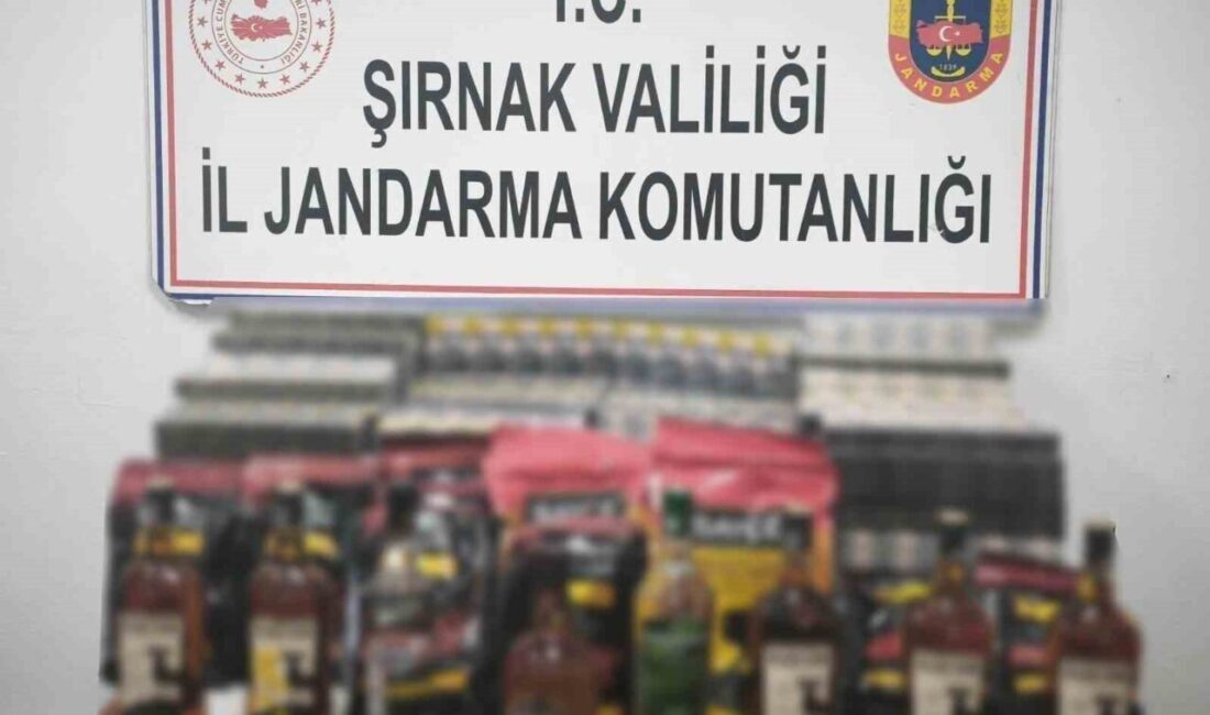 Şırnak’ta geçen hafta düzenlenen kaçakçılık operasyonlarında, piyasa değeri yaklaşık 82