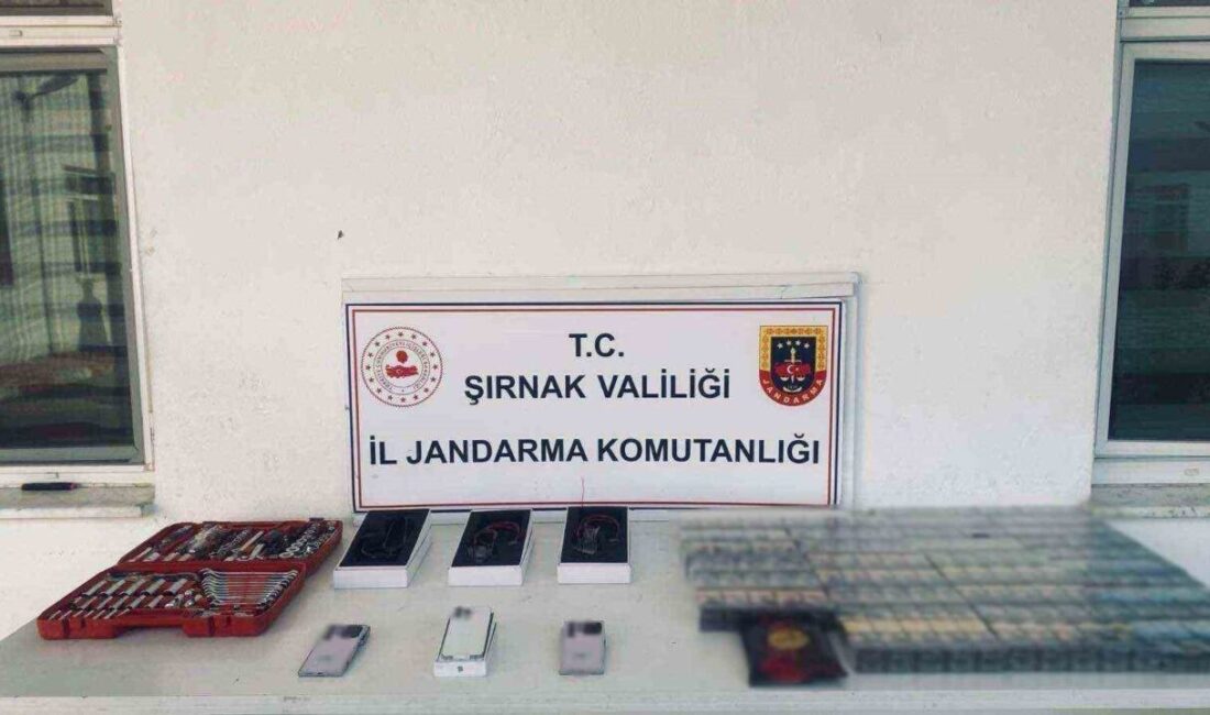 Şırnak’ta geçen hafta düzenlenen kaçakçılık operasyonlarında, piyasa değeri yaklaşık 26