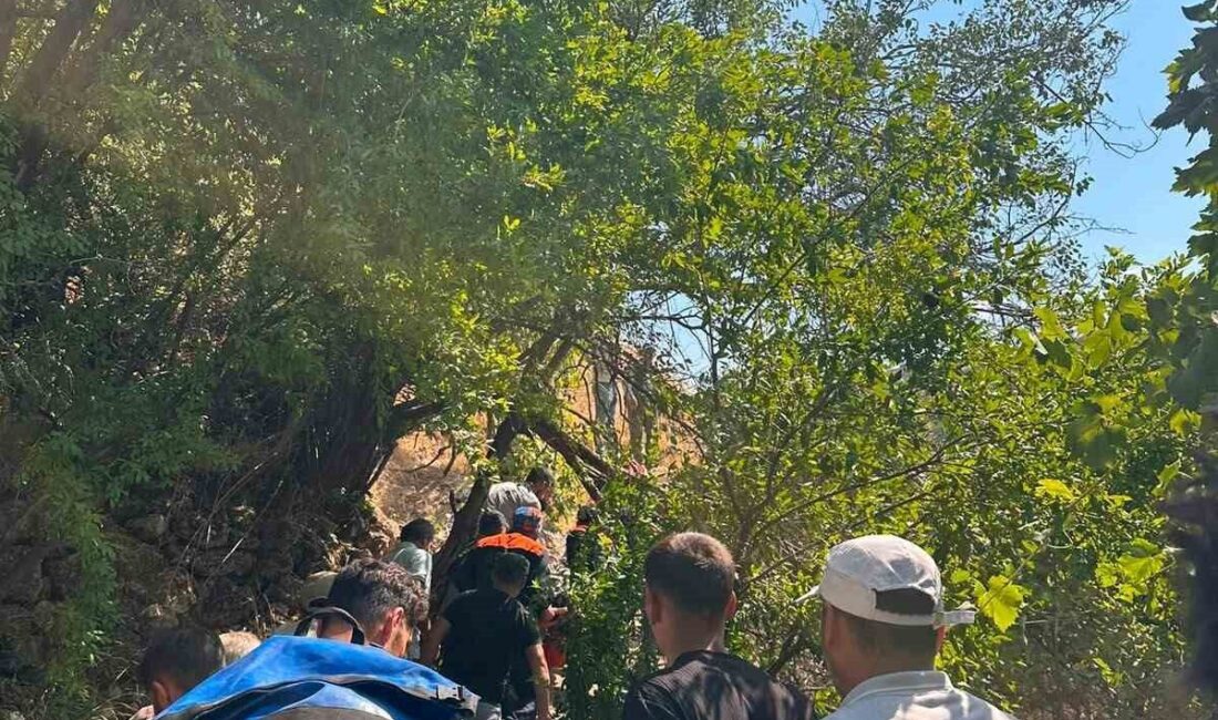 Şırnak’ın Güçlükonak ilçesinde meydana gelen olayda, ağaçtan düşerek yaralanan bir