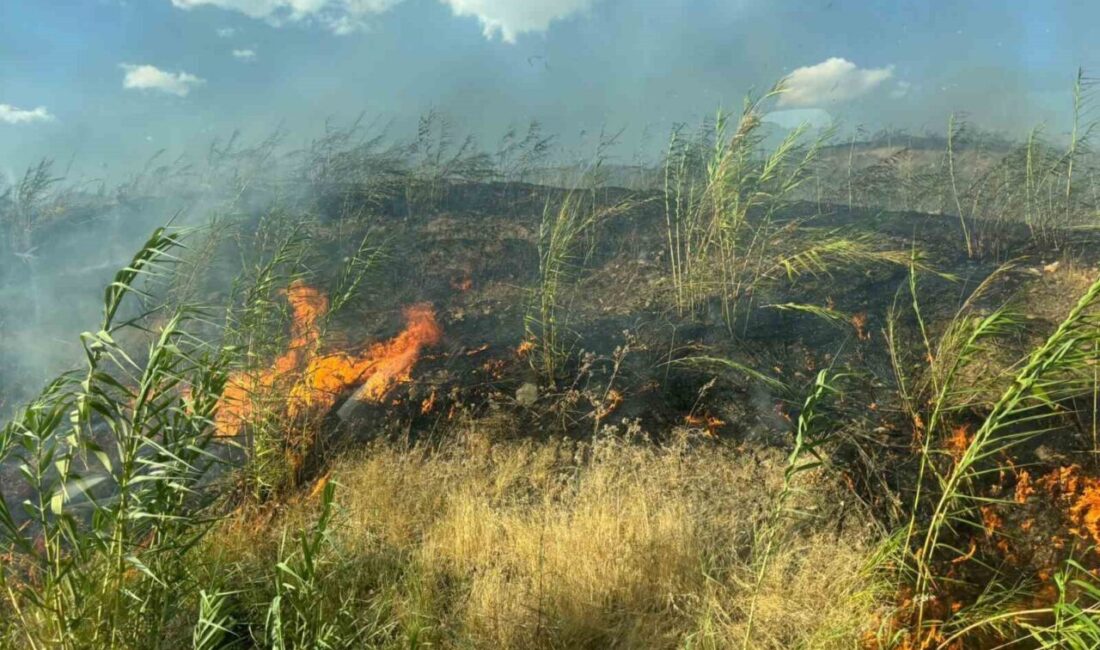 Silopi ilçesindeki örtü ve orman yangını, yetkililerin hızlı müdahalesi sayesinde