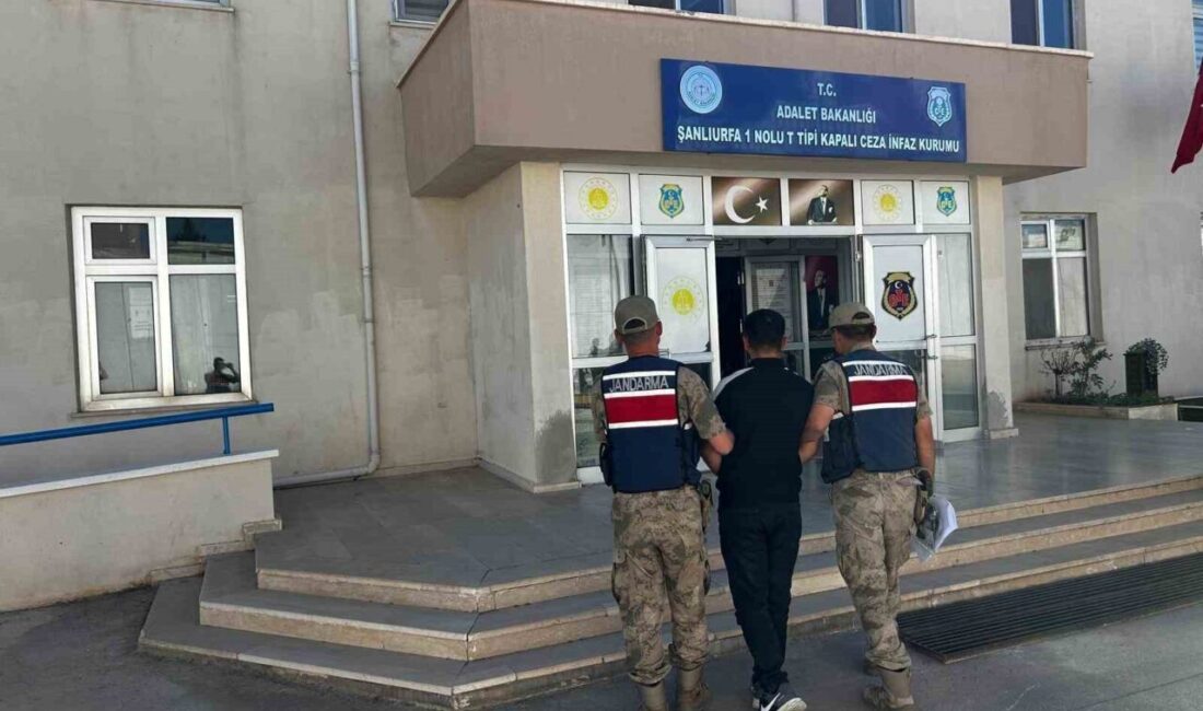 Şanlıurfa İl Jandarma Komutanlığı ekipleri, hakkında “Hırsızlık” suçundan kesinleşmiş 5