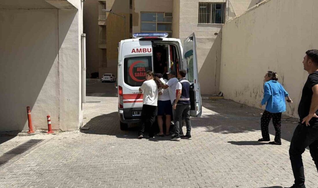 Siverek ilçesine bağlı Taşağıl Mahallesi Alıncık Sokak mevkiinde bugün sabah