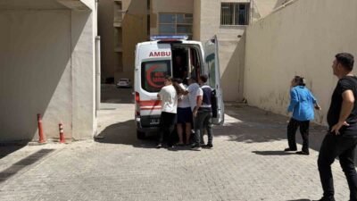 Siverek ilçesine bağlı Taşağıl Mahallesi Alıncık Sokak mevkiinde bugün sabah