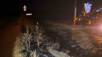 Eskişehir’de, bir arazi yangınının elektrik tellerine çarpan kuşlar sonucu başladığı