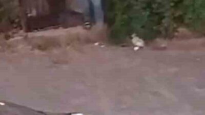 Şanlıurfa’da iki aile arasında yaşanan silahlı kavgada 3 kişi yaralandı.