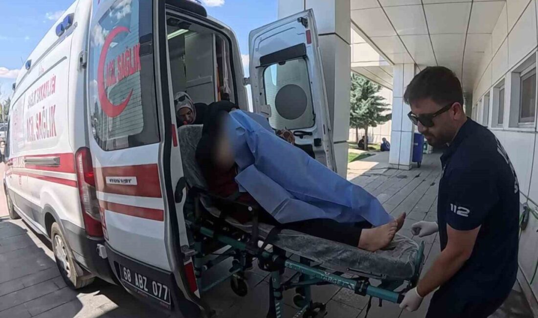 Aksaray ilinde, sokakta çıkan kavgada tüfekle ateşlenen saçmaların, evin bahçesinde