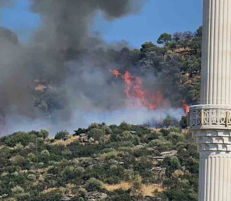 Aydın’ın Söke ilçesindeki ormanlık alanda çıkan yangınla mücadele devam ediyor.