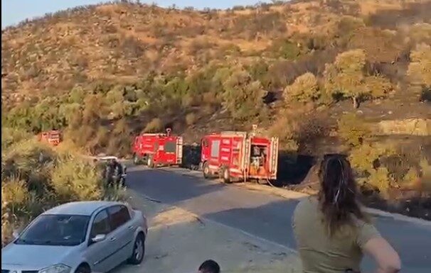 Söke ilçesinde meydana gelen orman yangını, ekiplerin titiz çalışmaları sayesinde