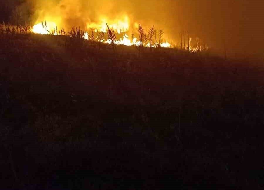 Şuhut ilçesine bağlı Anayurt köyünde meydana gelen anız yangını, köy