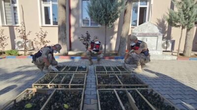 Hatay ilinde jandarma tarafından gerçekleştirilen kontrollerde Suriye sınırında traktör römorkunda