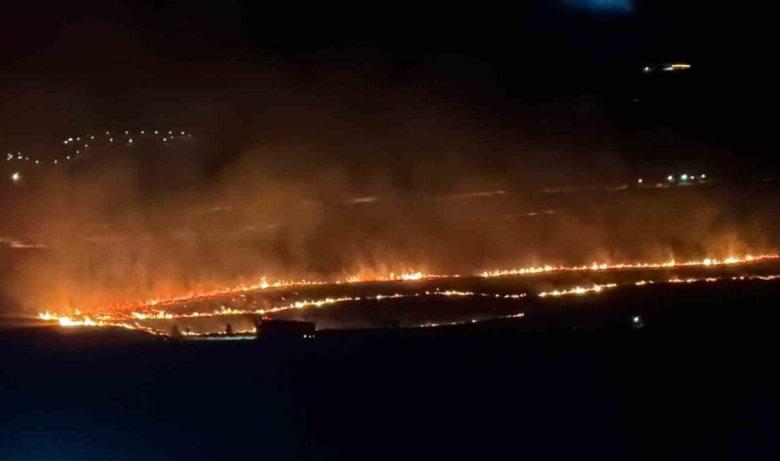 Bitlis’te Tatvan ve Ahlat ilçeleri arasında çıkan yangın, itfaiye ve