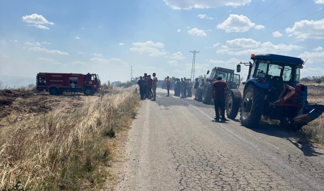 Tekirdağ’ın Hayrabolu ilçesinde meydana gelen anız yangınında yaklaşık 150 dönüm