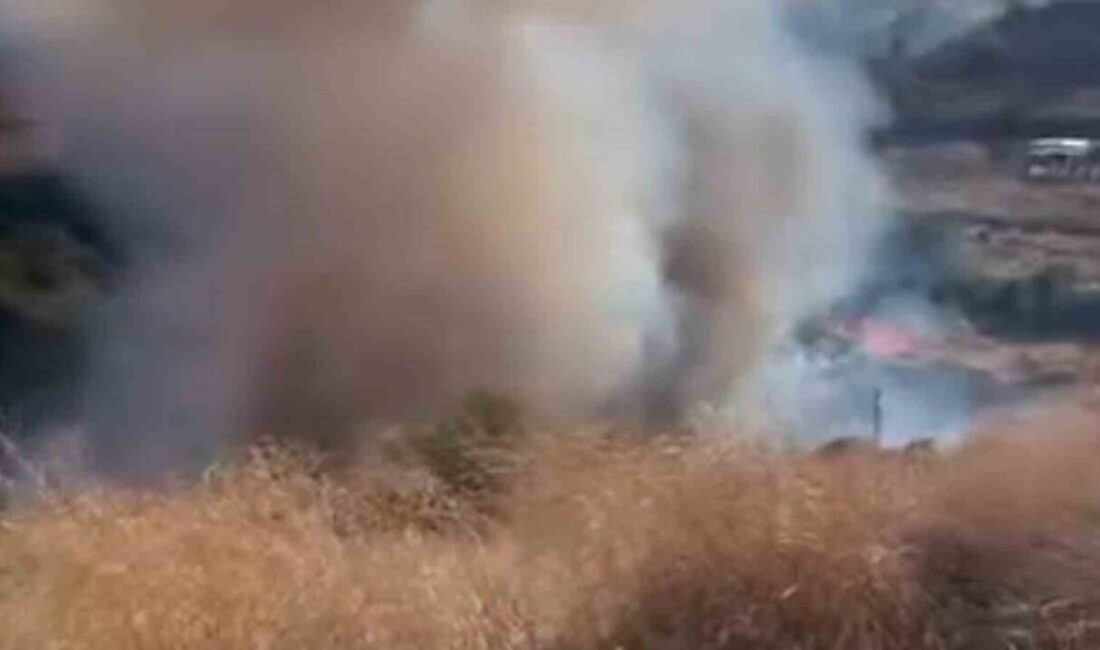 Süleymanpaşa ilçesindeki ağaçlık alanda çıkan yangın, itfaiye ve orman ekiplerinin