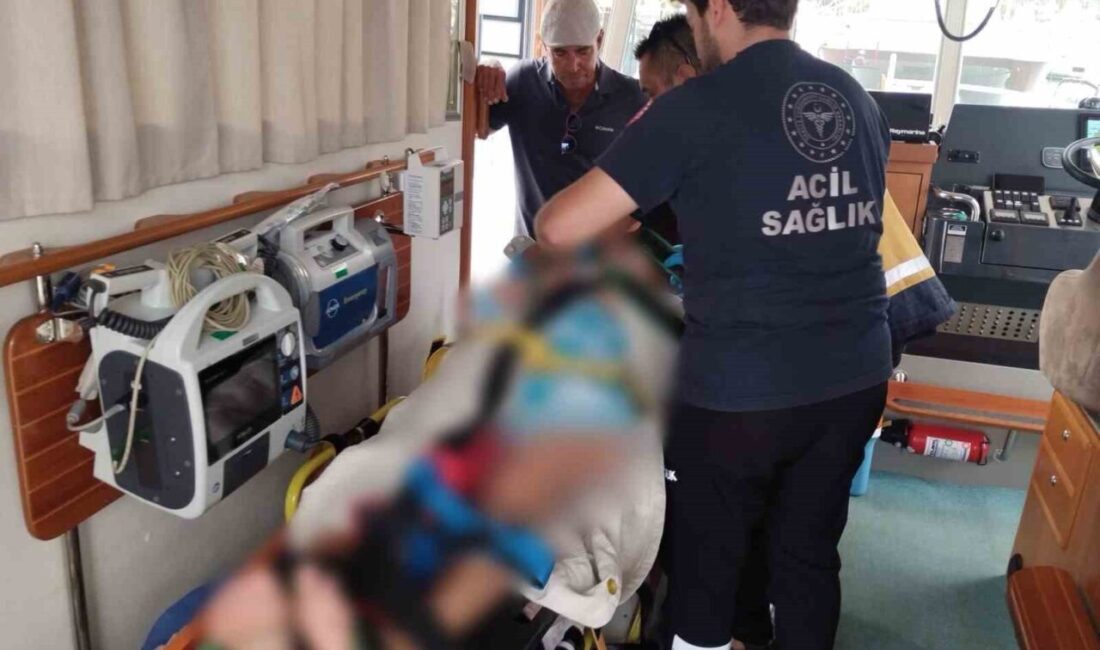 Muğla’nın Bodrum ilçesinde mavi tur için denize açılan bir teknede