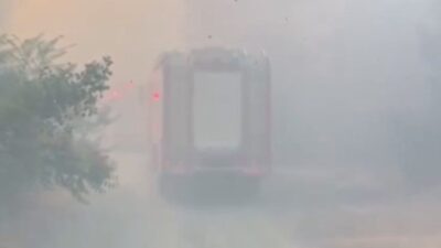 Eskişehir’de ormanlık alanda başlayan yangında alevlerin arasında kalan bir kaplumbağa,