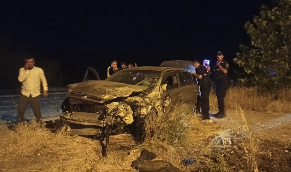 Malatya’nın Doğanşehir ilçesinde meydana gelen trafik kazasında, tır ile iki