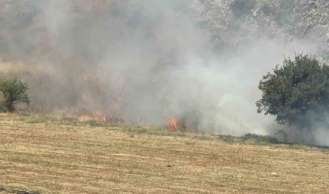 Tokat’ta çıkan yangın, Sivas-Turhal kara yolu Necmettin Erbakan Bulvarı Soğucak