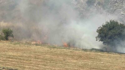 Tokat’ta çıkan yangın, Sivas-Turhal kara yolu Necmettin Erbakan Bulvarı Soğucak