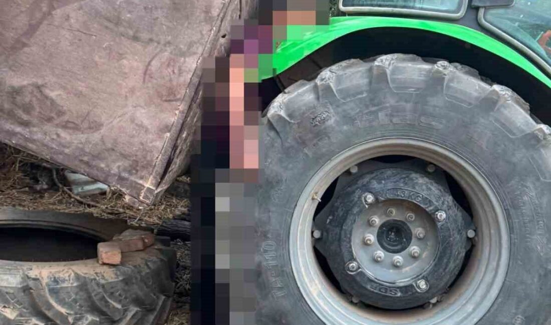 Denizli’nin Buldan ilçesinde, yangın bölgesinde çalışma yapan bir orman işçisi,