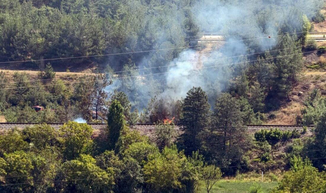 Karabük’te, tren raylarının kenarında çıkan yangın, ekiplerin hızlı müdahalesi sayesinde