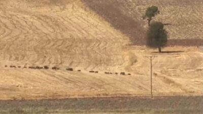 Tunceli’nin Çemişgezek ilçesinde bir vatandaş, Akçapınar köyü yakınlarında Elazığ-Tunceli karayolunda