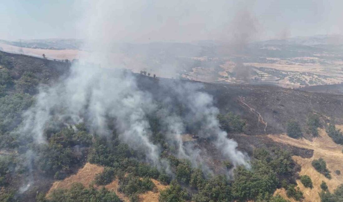 Tunceli’deki orman yangınına ekipler, hava ve karadan müdahaleye başladı. Yangın,