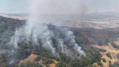 Tunceli’deki orman yangınına ekipler, hava ve karadan müdahaleye başladı. Yangın,
