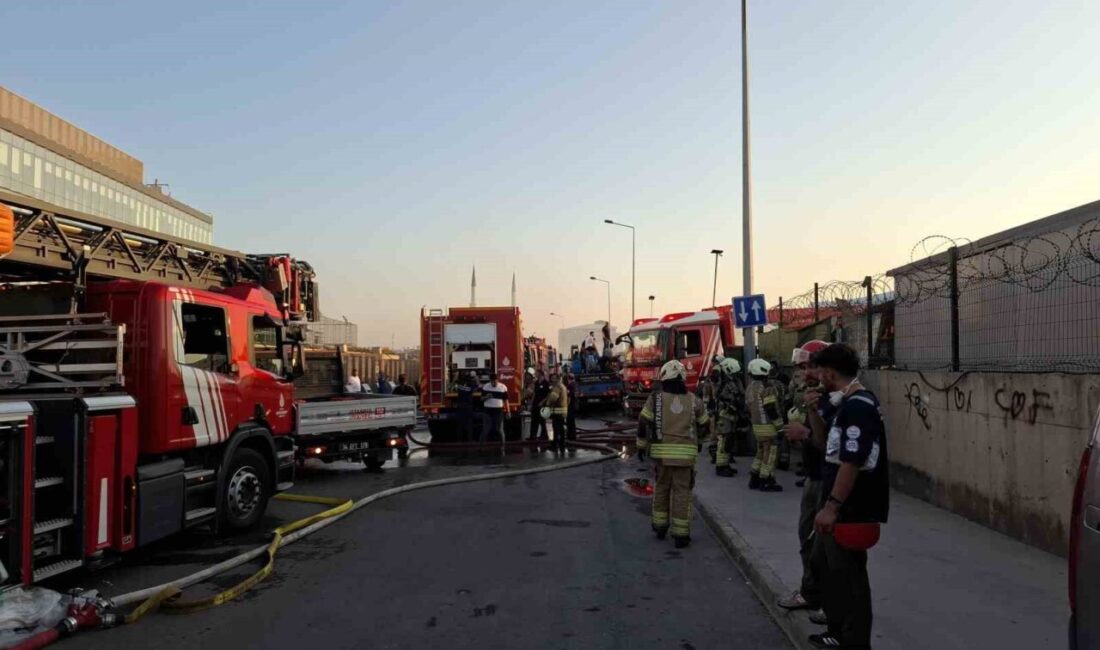 Tuzla İçmeler bölgesinde meydana gelen yangın, otluk alandan başlayıp depolama