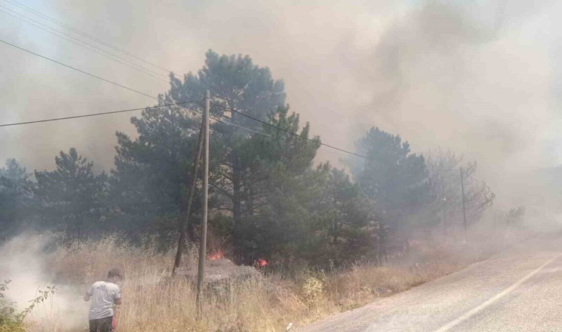 Kaman ilçesinde meydana gelen üç ayrı yangın sonucunda bin dönümden