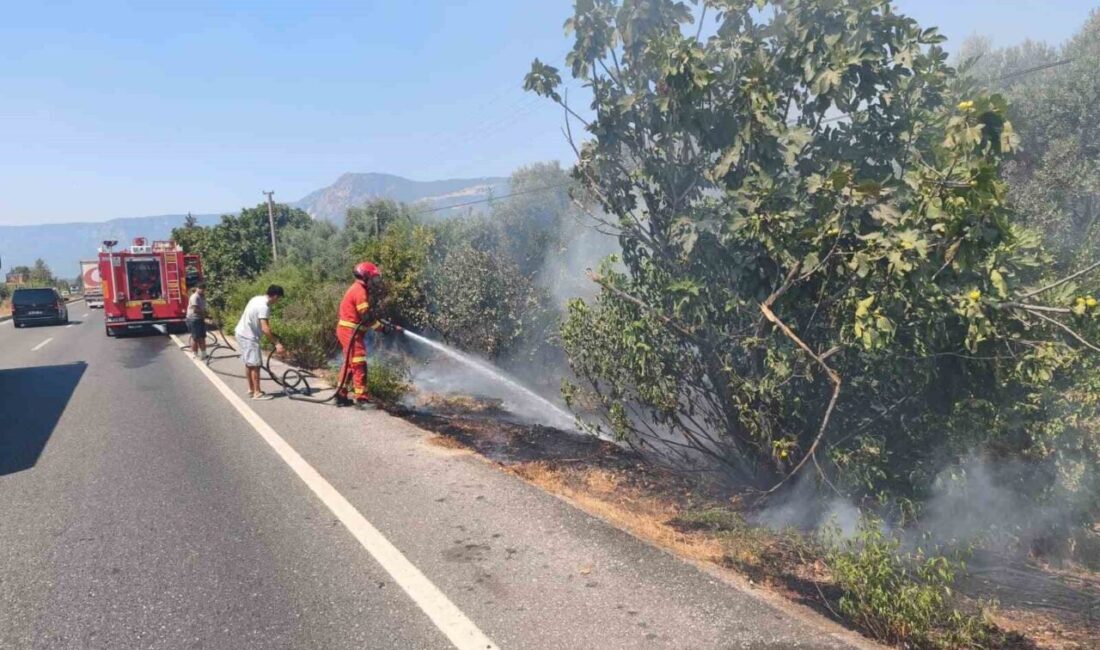 Muğla’nın Ula ilçesinde, yol kenarında çıkan kuru ot yangını, itfaiye