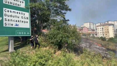 TEM Otoyolu kenarındaki otluk alanda çıkan yangın kısa sürede büyüyerek