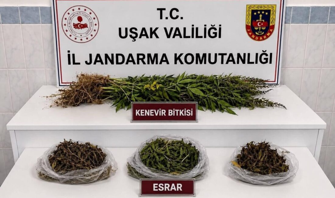 Uşak’ın Sivaslı ve Banaz ilçelerinde jandarma ekipleri tarafından düzenlenen operasyonlarda
